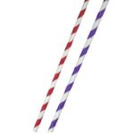 LES PAILLES DE PAPIER COLOR RAYURES